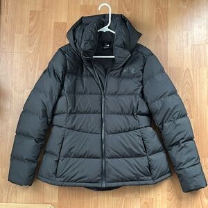 Northface Winter Jacket